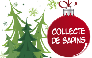 Collecte de sapins de Noël 