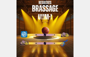 BRASSAGE