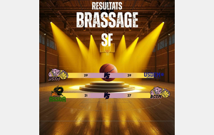 BRASSAGE